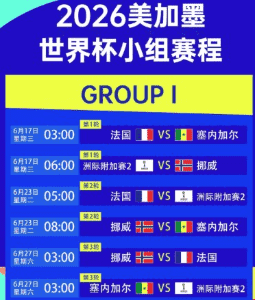 世界杯精彩回放片段
